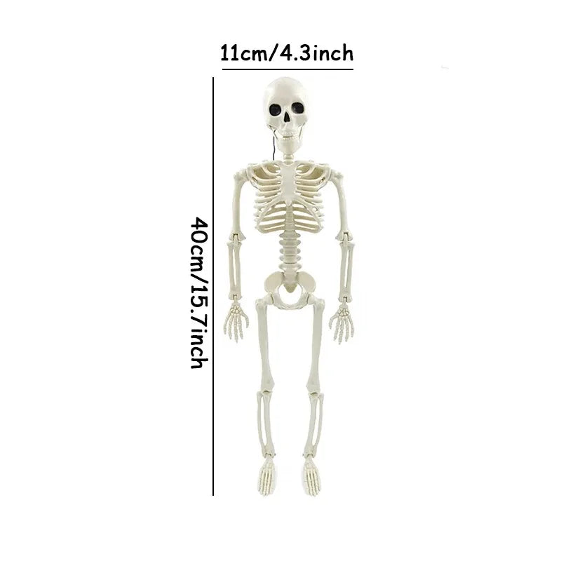 Squelette articulé 40 cm, décoration Halloween