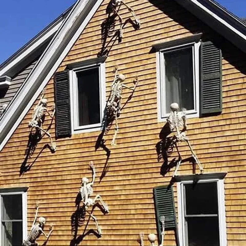 Squelette articulé 40 cm, décoration Halloween